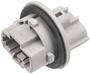 Standard Ignition 3 Terminal Multi-Purpose Light Socket