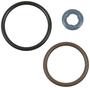 Standard Ignition Fuel Injector Seal Kit
