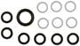 Standard Ignition Fuel Rail O-Ring Kit