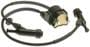 Standard Ignition Ignition Coil