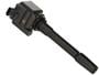 Standard Ignition Ignition Coil On Plug (COP)