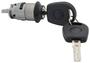 Standard Black, Gray Ignition Lock Cylinder