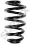 Suplex Coil Spring