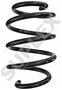 Suplex Coil Spring