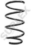 Suplex Coil Spring