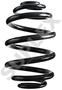 Suplex Coil Spring