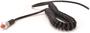 TCI Automotive A/T Shift Micro Switch