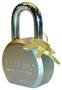 Trimax Padlock