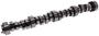 Top Street Performance Engine Camshaft