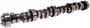 Top Street Performance Engine Camshaft