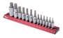 Titan 13 Piece 1/4, 3/8, 1/2 Inch Drive Hex SAE Socket Set