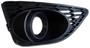 TYC Black Fog Light Bezel