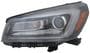 TYC Headlight Assembly