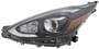 TYC Head Lamps