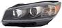 TYC Head Lamps