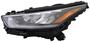 TYC Head Lamps