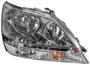 TYC Headlight Assembly