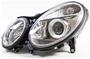 TYC Headlight Assembly