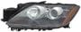 TYC Headlight Assembly