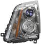 TYC Headlight Assembly