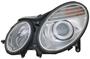 TYC Headlight Assembly