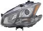 TYC Headlight Assembly