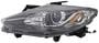 TYC Headlight Assembly
