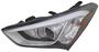 TYC Headlight Assembly