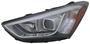 TYC Headlight Assembly