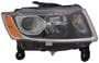 TYC Headlight Assembly