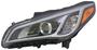 TYC Headlight Assembly
