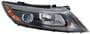 TYC Headlight Assembly
