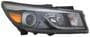 TYC Headlight Assembly