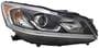 TYC Headlight Assembly