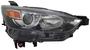 TYC Headlight Assembly