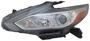 TYC Headlight Assembly
