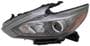 TYC Headlight Assembly