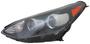 TYC Headlight Assembly