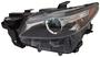 TYC Headlight Assembly