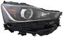 TYC Head Lamps