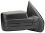 TYC Door Mirror