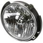 TYC Headlight Assembly
