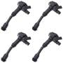 Ultima Technologies Ignition Coil Set