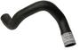 URO Parts Coolant Hose