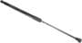 URO Parts Lift Support