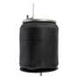 World American HD Brake Air Spring