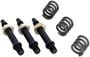 Walker Exhaust Bolt And Spring