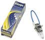 WARN 100 Watt Bulb