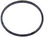 WIX Oil Filter Gasket