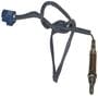 Walker Direct Fit Oxygen Sensor